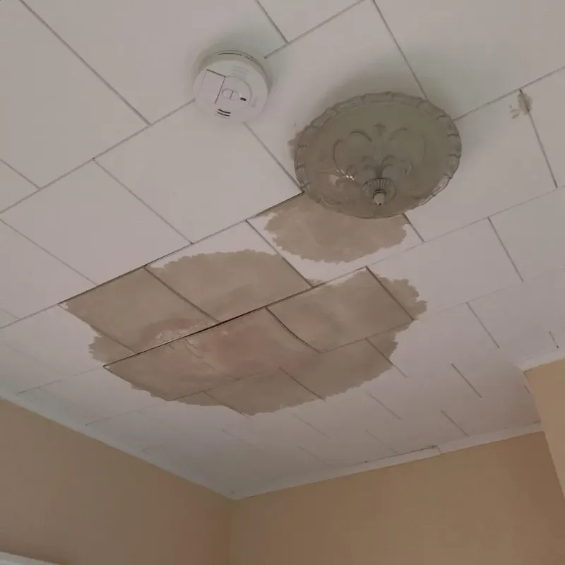 Ceiling Water Damage Repair in Le Center, MN