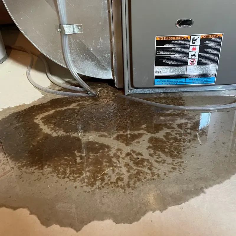 Pipe Burst and Leak Restoration in Le Center, MN