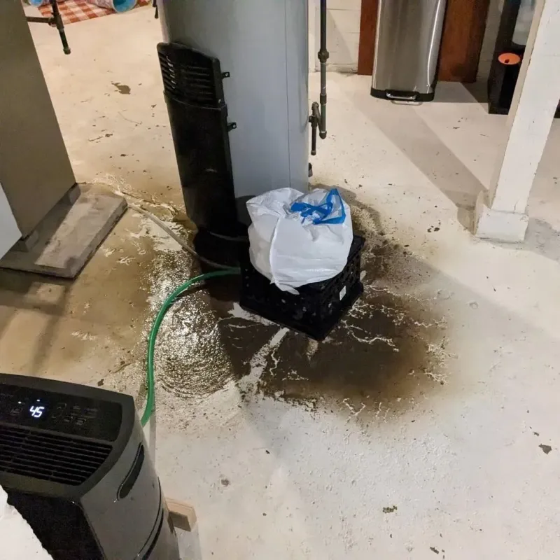 Sewage Backup Cleanup Service in Le Center, MN